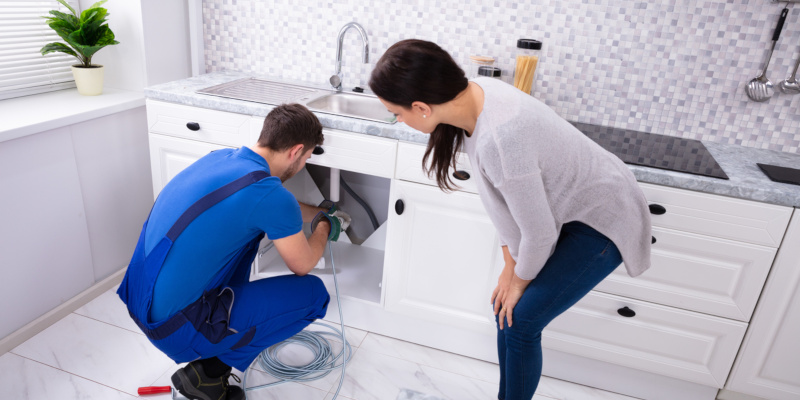 mold removal services may be a complicated thing