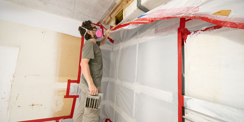 Mold Remediation: All You Need to Know About This Potential Nightmare