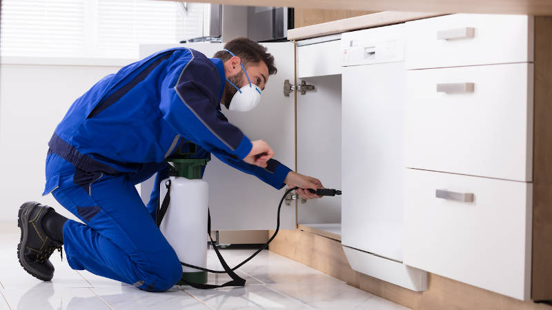 How to Get the Right Pest Control Contractor: Tips for Finding a Pro