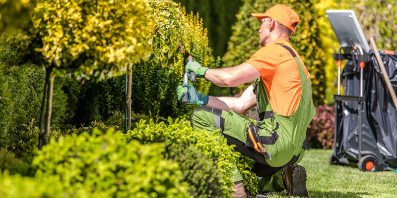 What Are the Benefits of Landscaping Services?