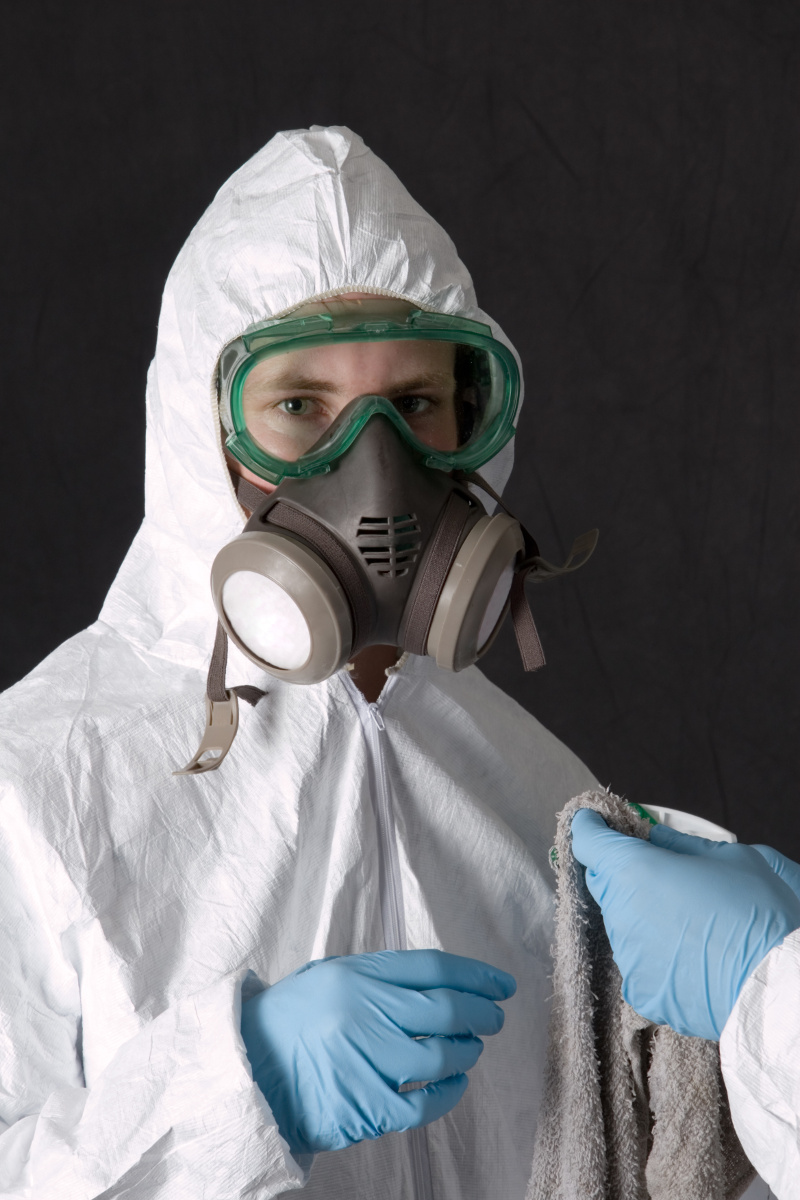 Mold Removal & Remediation: What You Need to Know