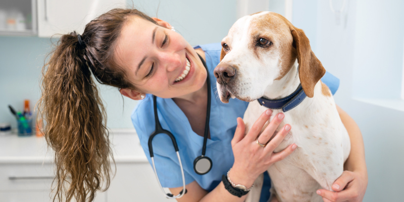 3 Tips for Buying Veterinary Equipment for Your Practice