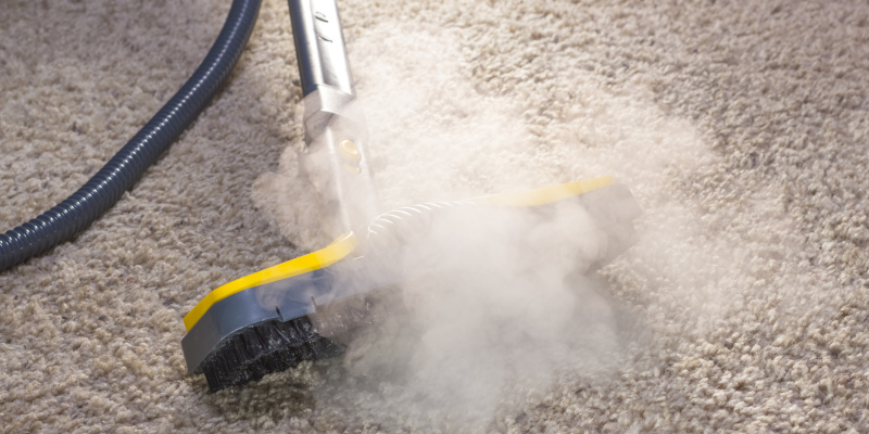 Why Professional Carpet Cleaning Matters