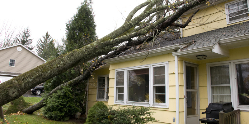 Storm Damage Insurance Claims: Documentation and Support Is Key