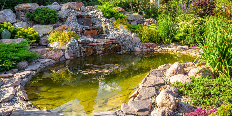 How Often Do You Need Pond Cleaning? 