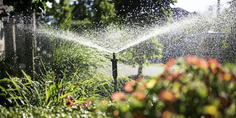 The Importance of Seasonal Lawn Irrigation